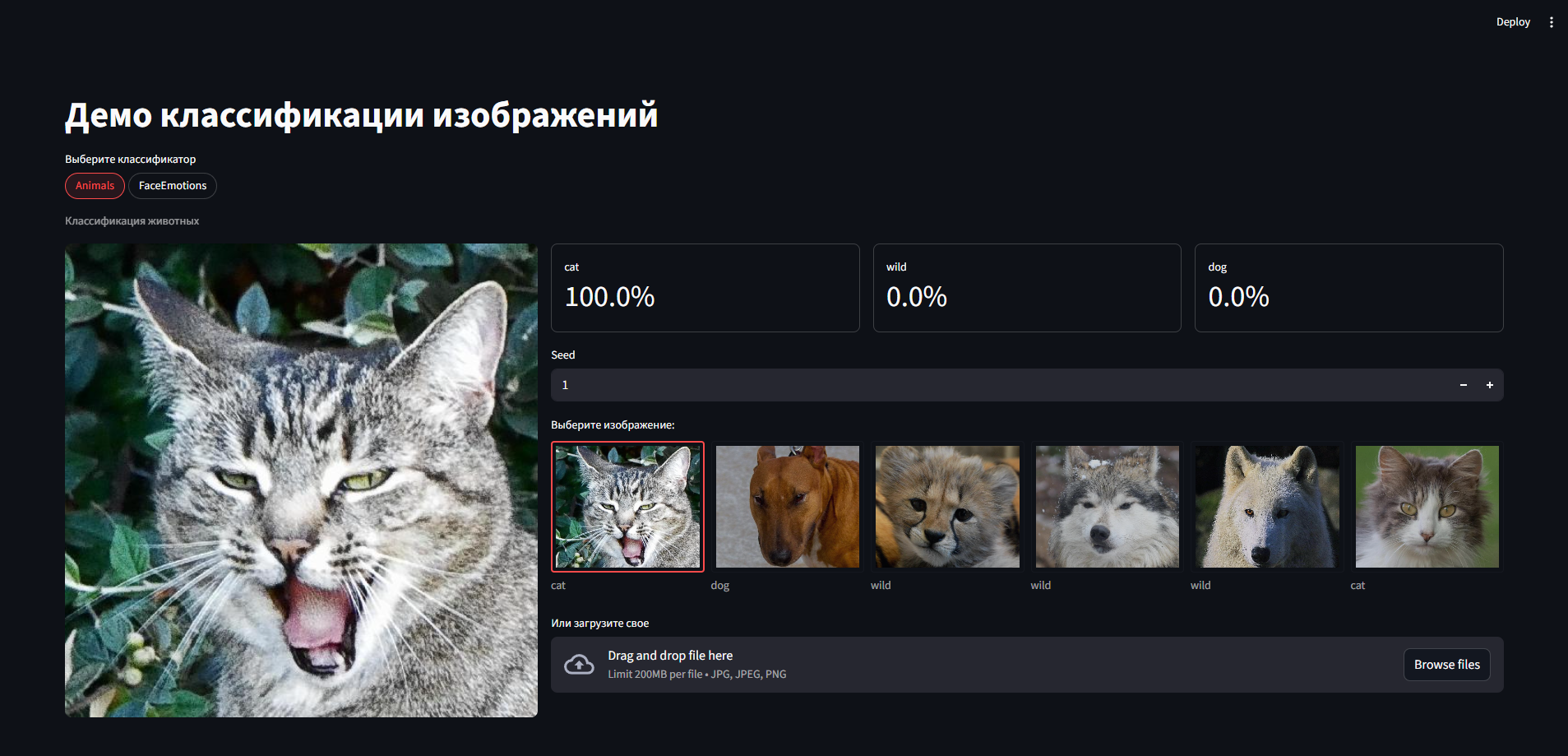 Image classification Streamlit demo